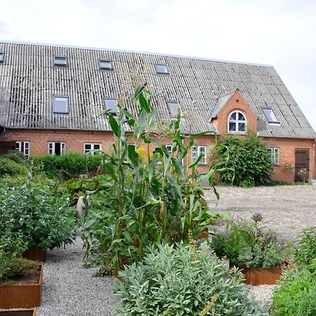 Lundsgaard Bed & Breakfast Fåborg Extérieur photo