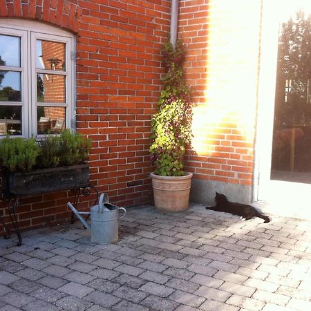 Lundsgaard Bed & Breakfast Fåborg Extérieur photo
