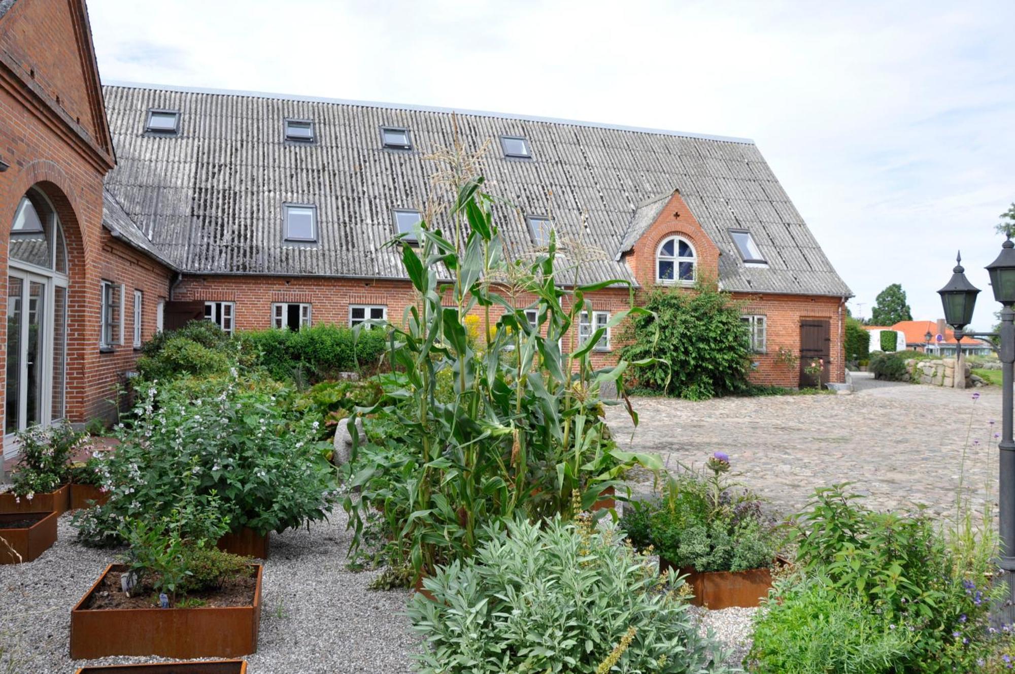 Lundsgaard Bed & Breakfast Fåborg Extérieur photo