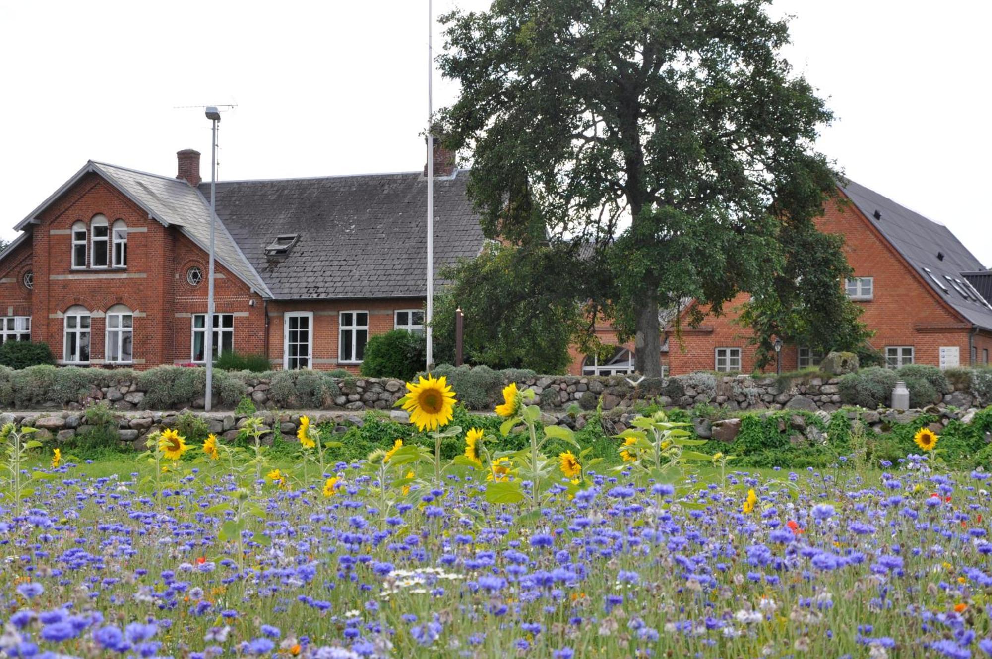 Lundsgaard Bed & Breakfast Fåborg Extérieur photo