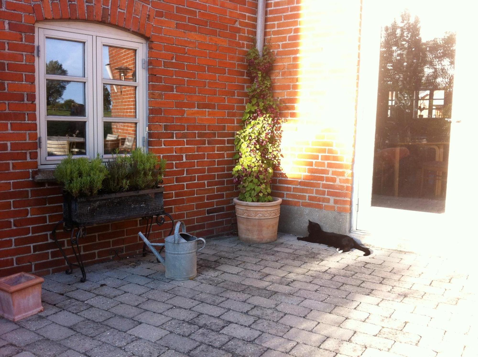 Lundsgaard Bed & Breakfast Fåborg Extérieur photo